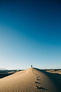 neom-gVDUuJaG_wM-unsplash